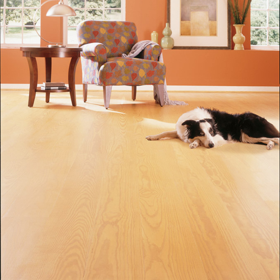 Currituck Classic Flooring from Ashton Lewis